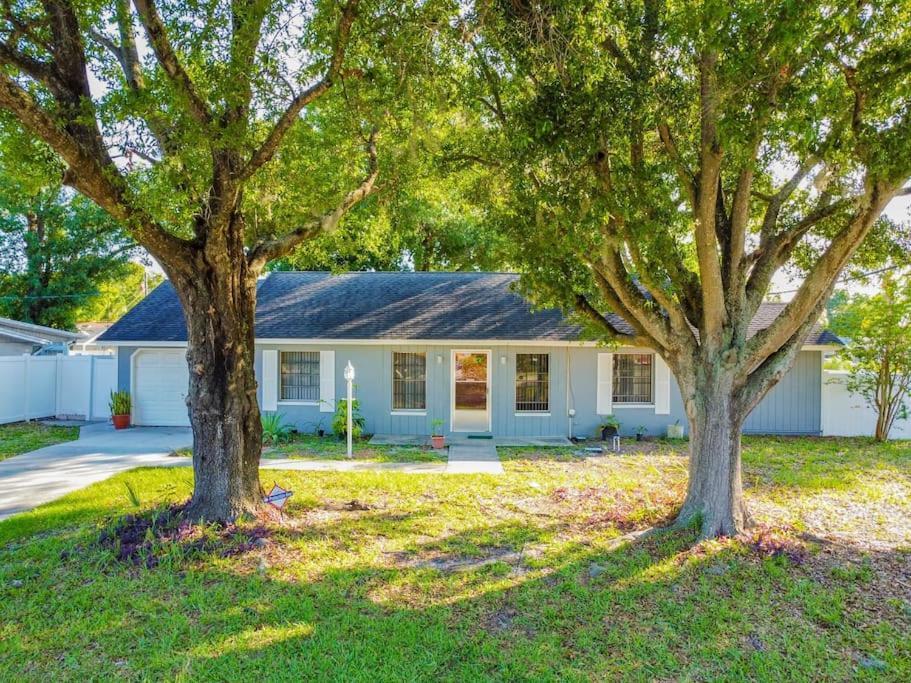 Willa Town 'N' Country Cozy Corner, Your Florida Fun Hub Tampa Zewnętrze zdjęcie